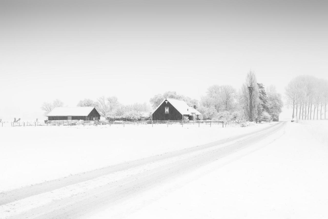 Het Zoete Peerd Groede Exterior foto